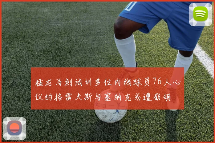 猛龙马刺试训多位内线球员76人心仪的格雷夫斯与塞纳克或遭截胡
