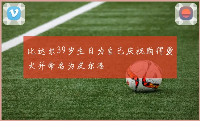比达尔39岁生日为自己庆祝购得爱犬并命名为皮尔洛