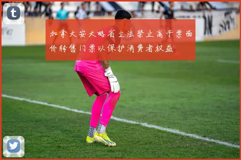 加拿大安大略省立法禁止高于票面价转售门票以保护消费者权益