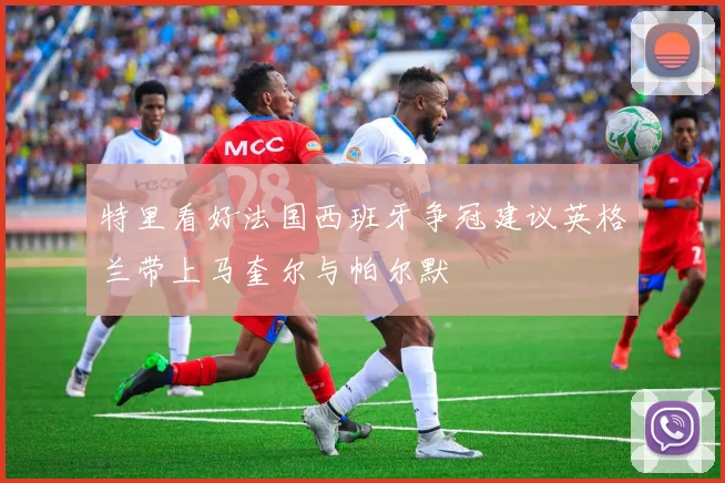 特里看好法国西班牙争冠建议英格兰带上马奎尔与帕尔默