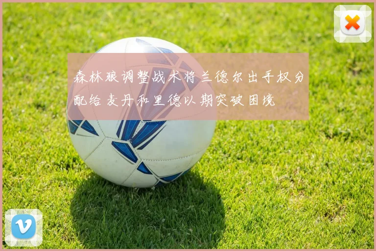 森林狼调整战术将兰德尔出手权分配给麦丹和里德以期突破困境